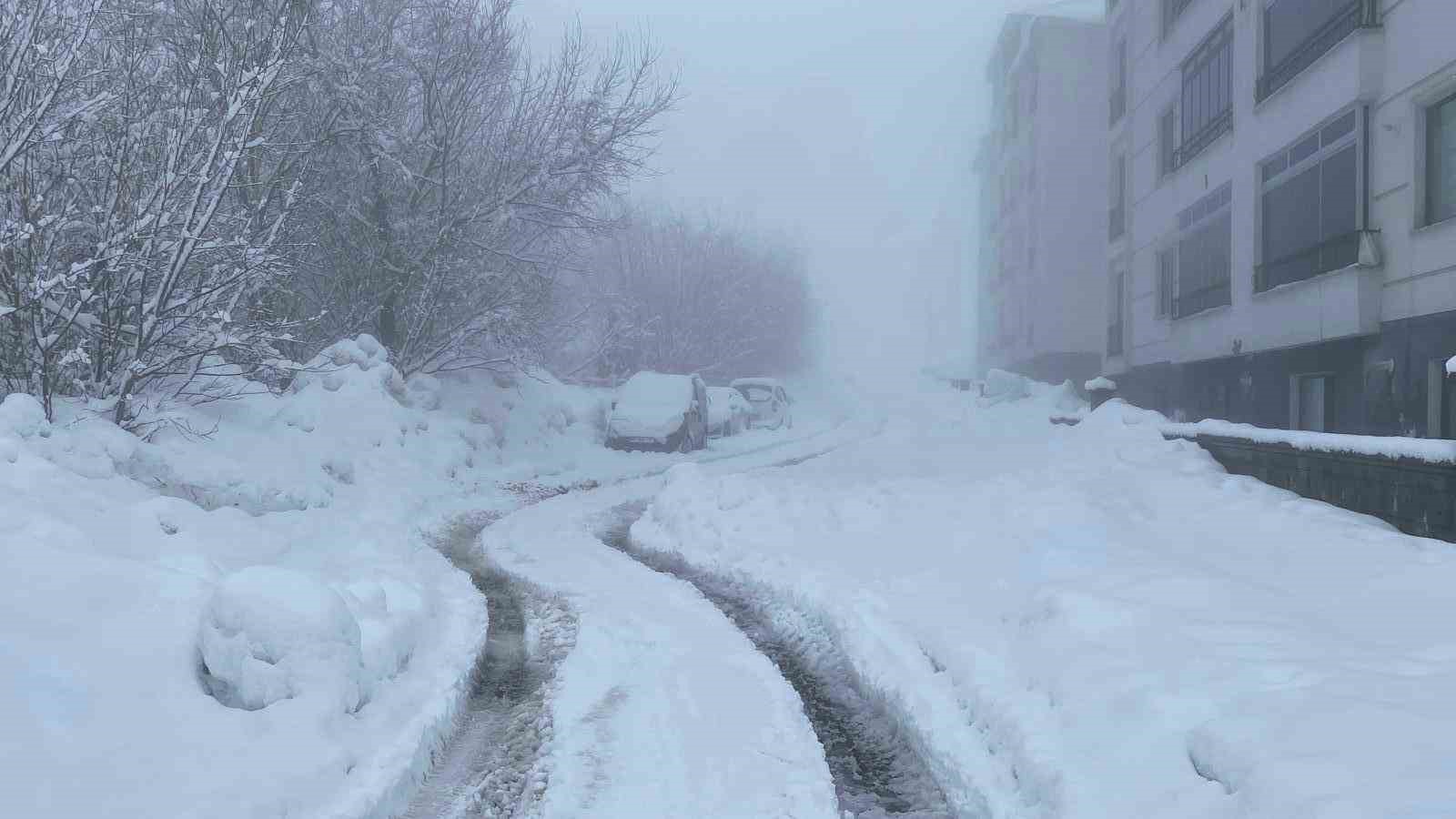 Karlıova’da 40 gündür süren kar yağışı hayatı zorlaştırıyor
