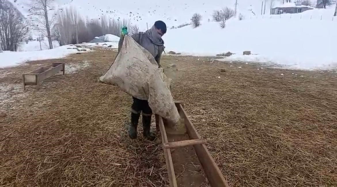 Karlıova’da besicilerin zorlu kış mesaisi

