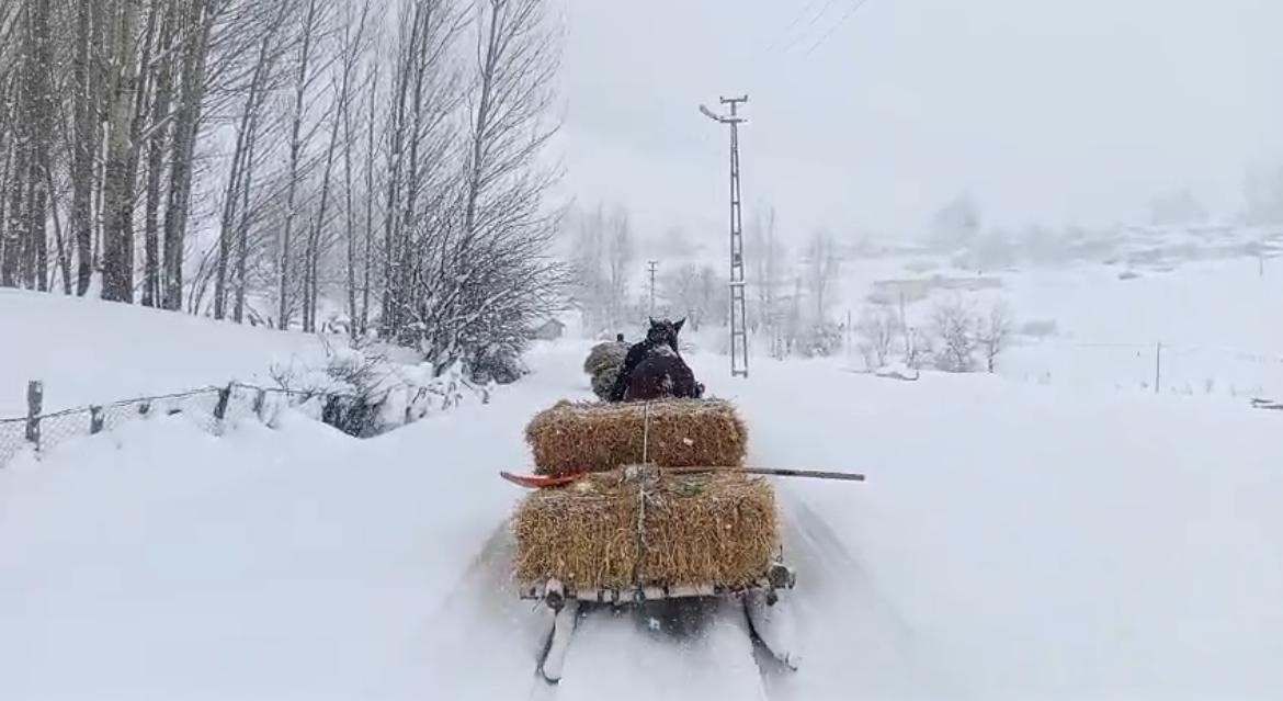 Karlıova’da besicilerin zorlu kış mesaisi
