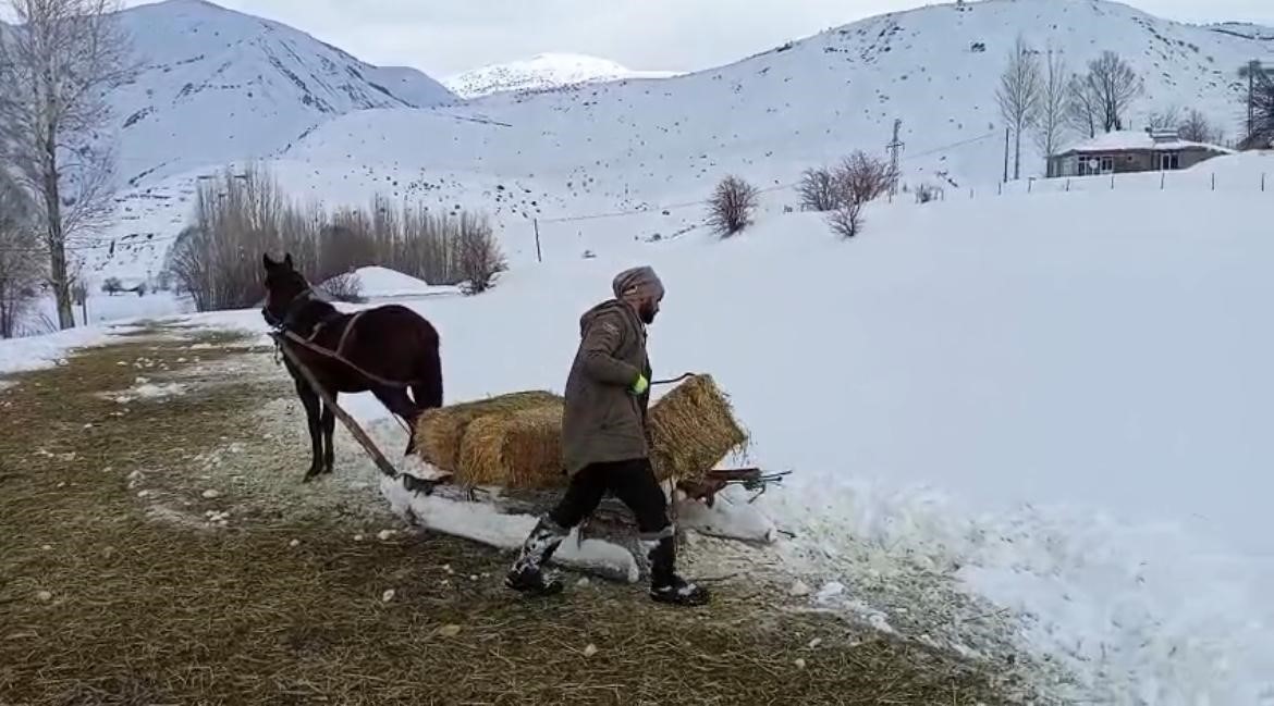 Karlıova’da besicilerin zorlu kış mesaisi
