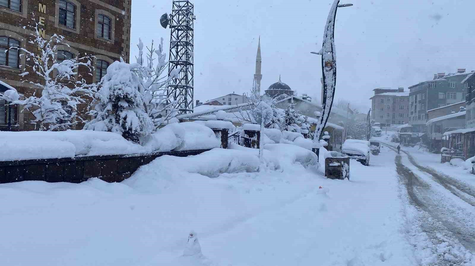 Karlıova’da kar kalınlığı 30 santime ulaştı
