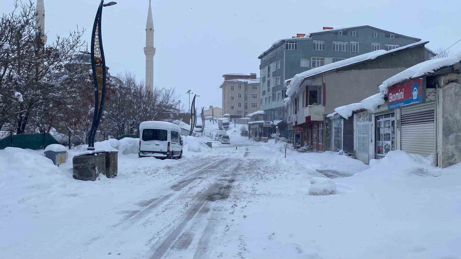 Karlıova’da kar ve tipi hayatı olumsuz etkiledi

