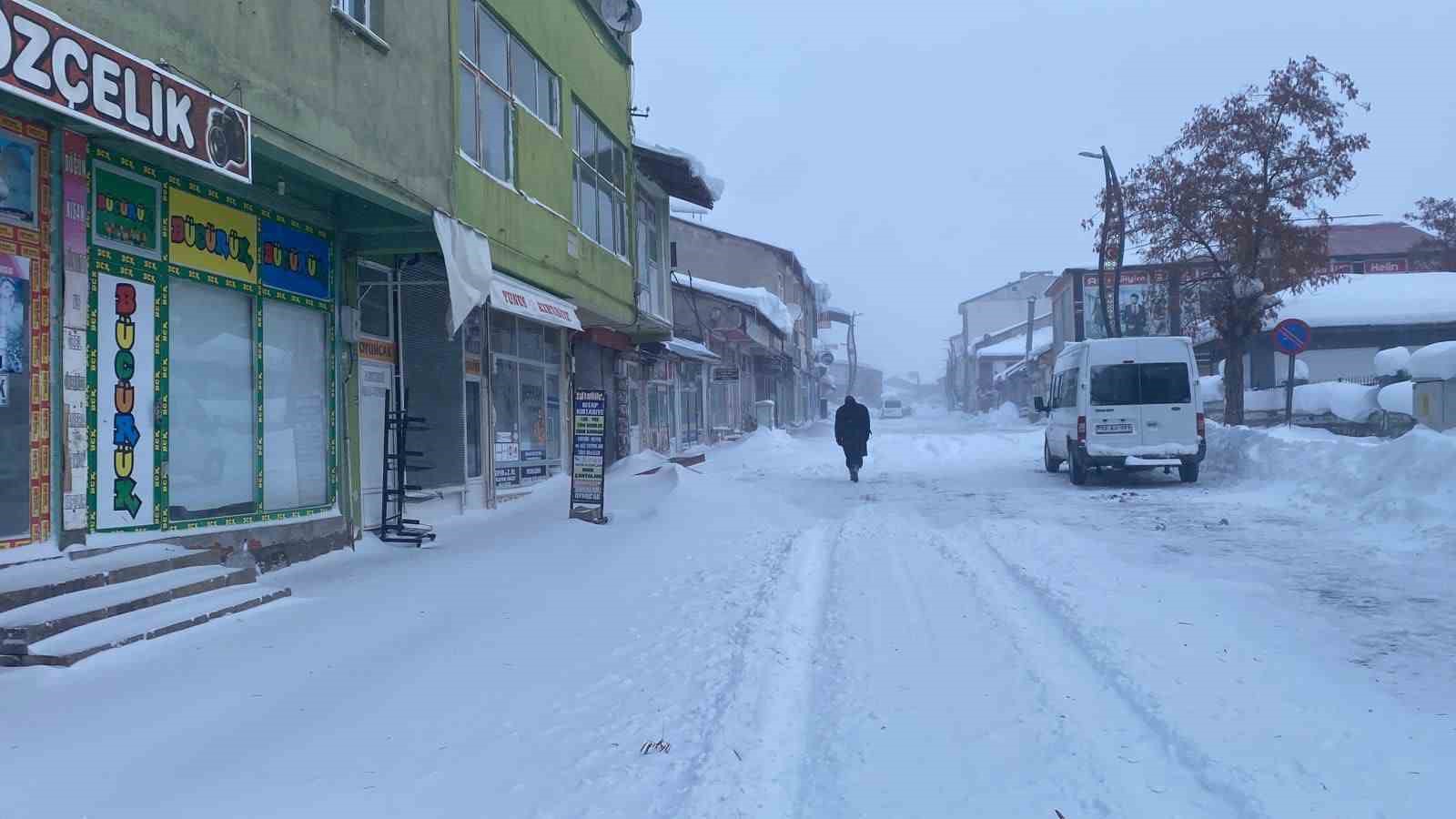 Karlıova’da tipi ve fırtına hayatı felç etti: Esnaf kepenk kapattı
