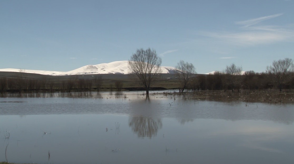 Kars Çayı taştı: Ağaçlar sular altında kaldı

