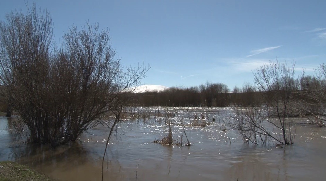 Kars Çayı taştı: Ağaçlar sular altında kaldı
