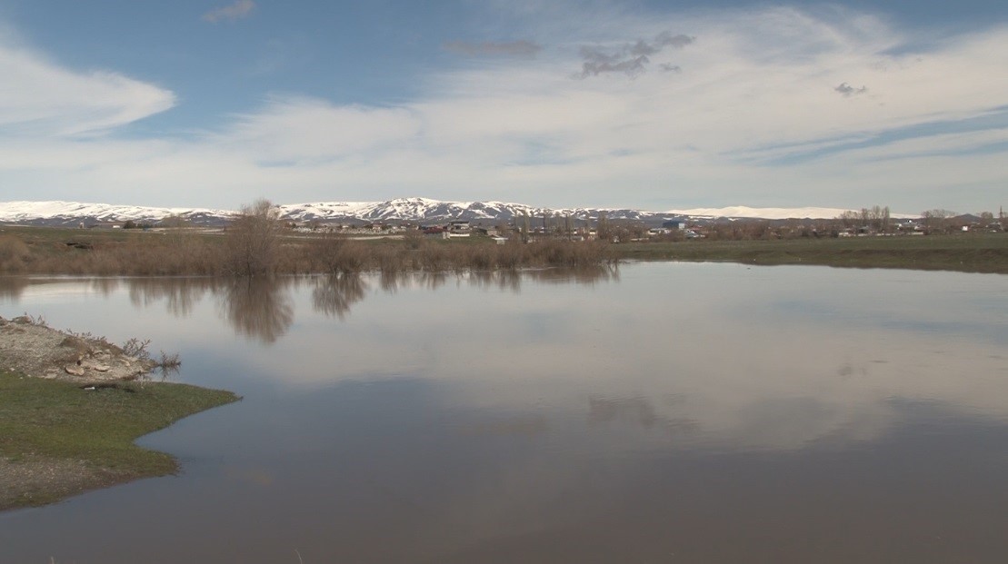 Kars Çayı taştı: Ağaçlar sular altında kaldı
