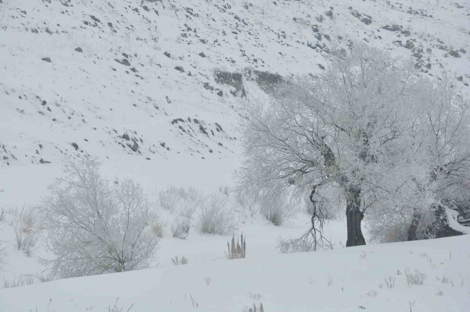 Kars’ın soğuğu kirpik dondurdu
