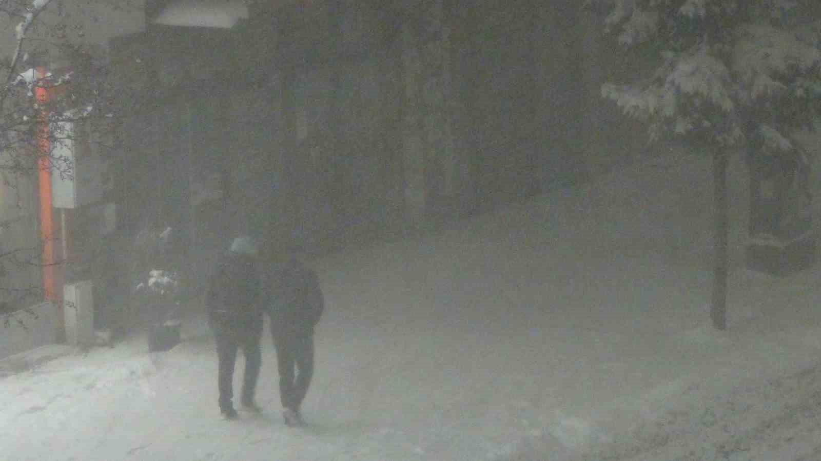 Kars’ta beyaz esaret: Tipiden göz gözü görmüyor
