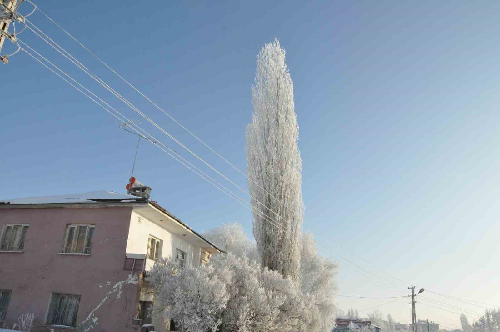 Kars’ta ‘Beyaz Zerafet’
Kars’ta ‘Beyaz Zerafet’