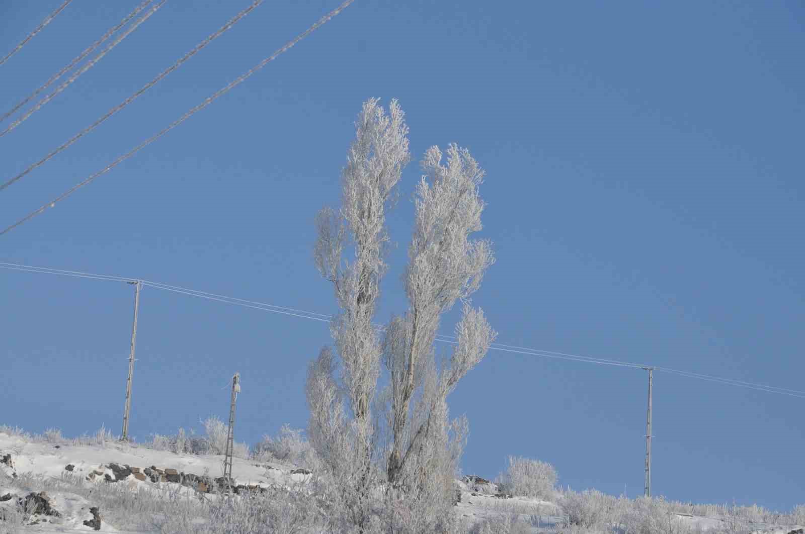 Kars’ta ‘Beyaz Zerafet’
Kars’ta ‘Beyaz Zerafet’