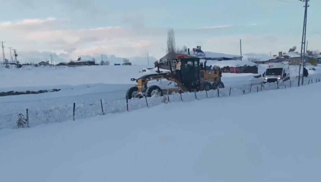 Kars’ta ’kar kaplanları’ndan hayat mesaisi
