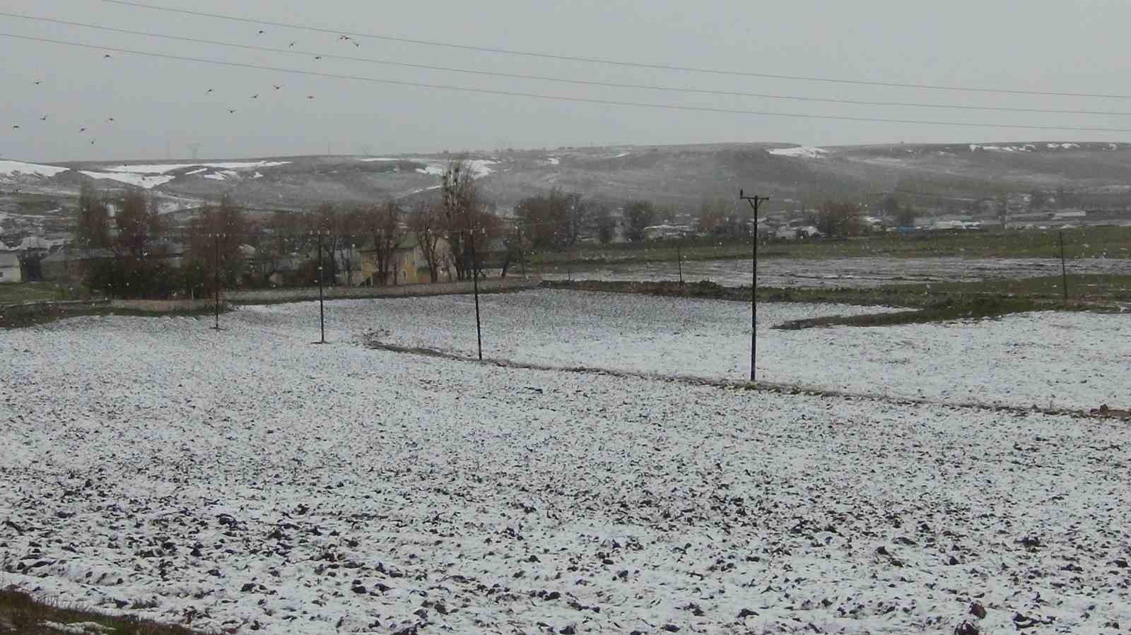 Kars’ta sarıçam ormanları beyaza büründü, tarım arazileri kar altında
