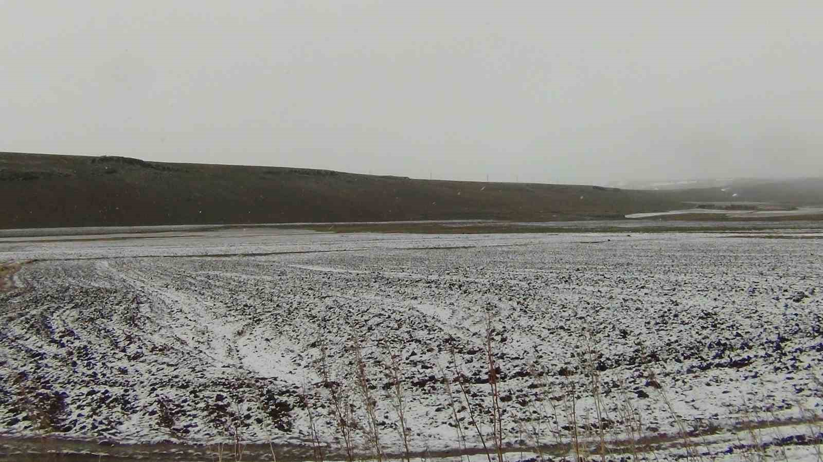 Kars’ta sarıçam ormanları beyaza büründü, tarım arazileri kar altında
