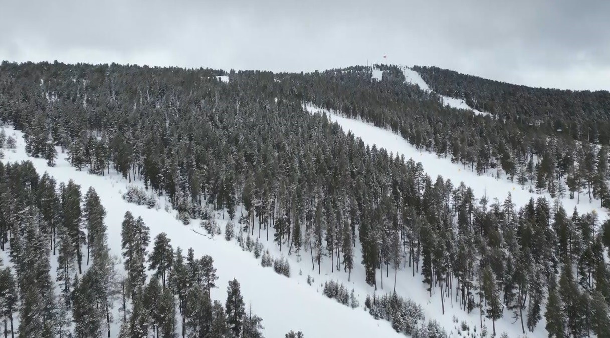 Kars’ta sarıçam ormanları beyaza büründü, tarım arazileri kar altında

