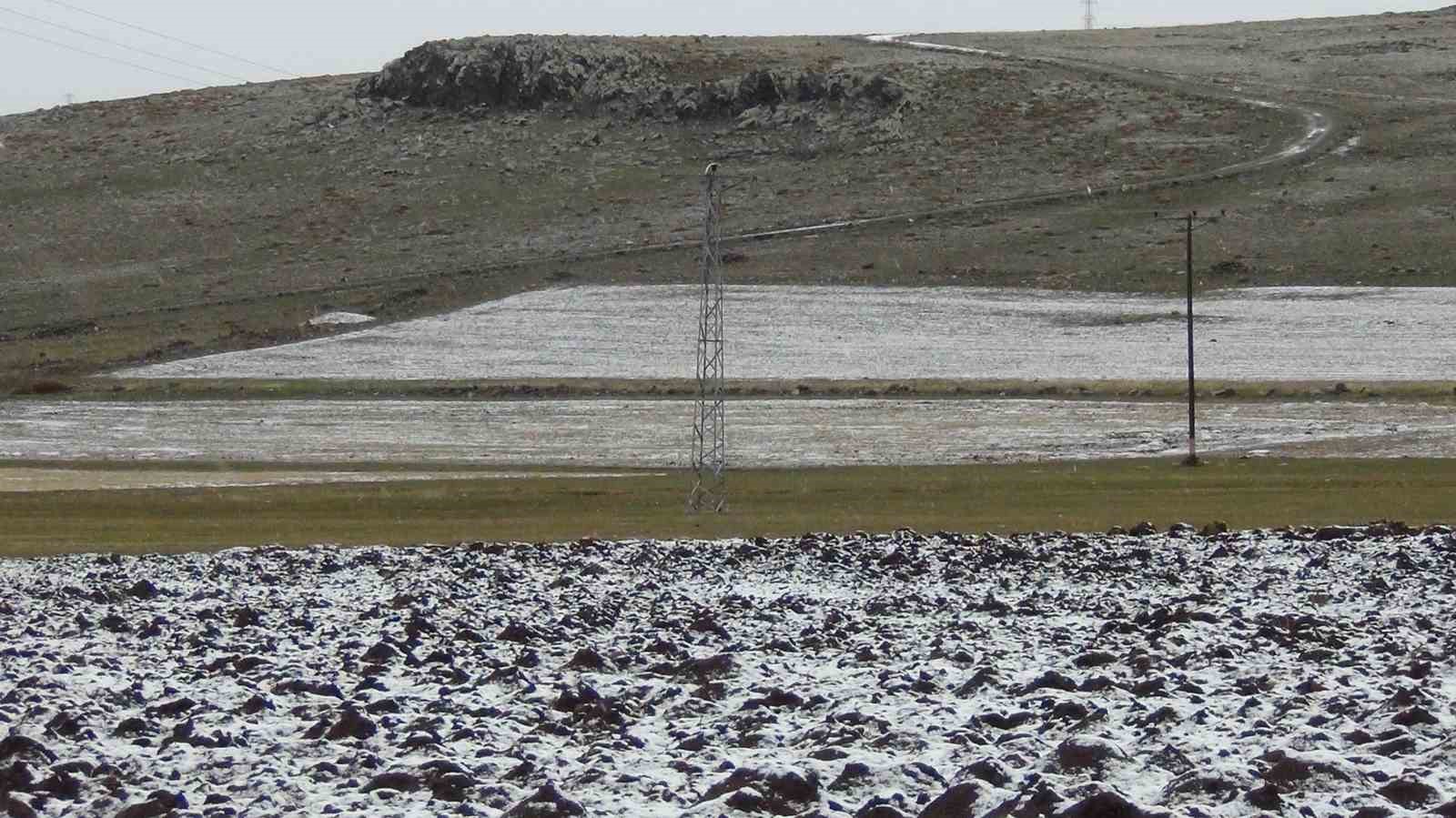 Kars’ta sarıçam ormanları beyaza büründü, tarım arazileri kar altında
