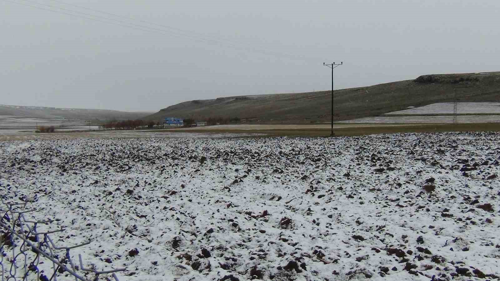 Kars’ta sarıçam ormanları beyaza büründü, tarım arazileri kar altında
