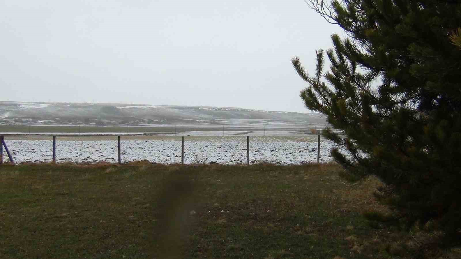 Kars’ta sarıçam ormanları beyaza büründü, tarım arazileri kar altında
