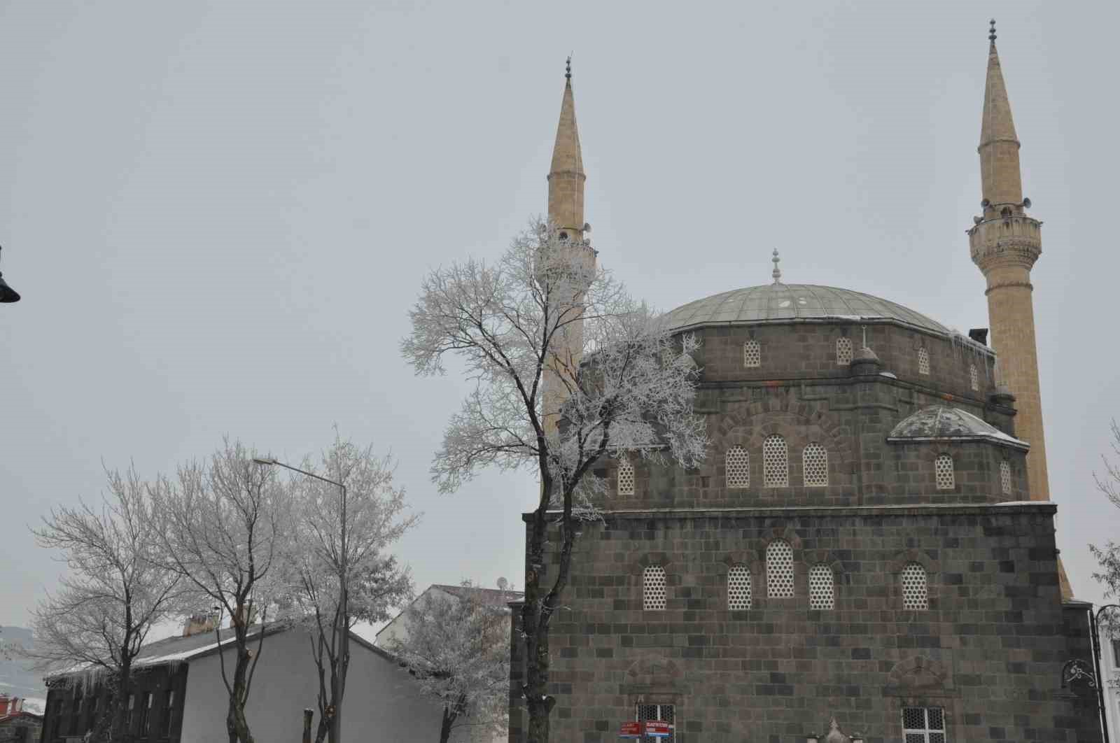 Kars’ta soğuktan ağaçlar kırağı tuttu
