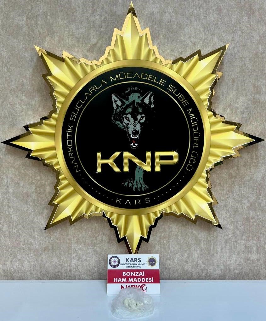 Kars’ta uyuşturucu operasyonu: 6 kilo bonzai üretimi engellendi
