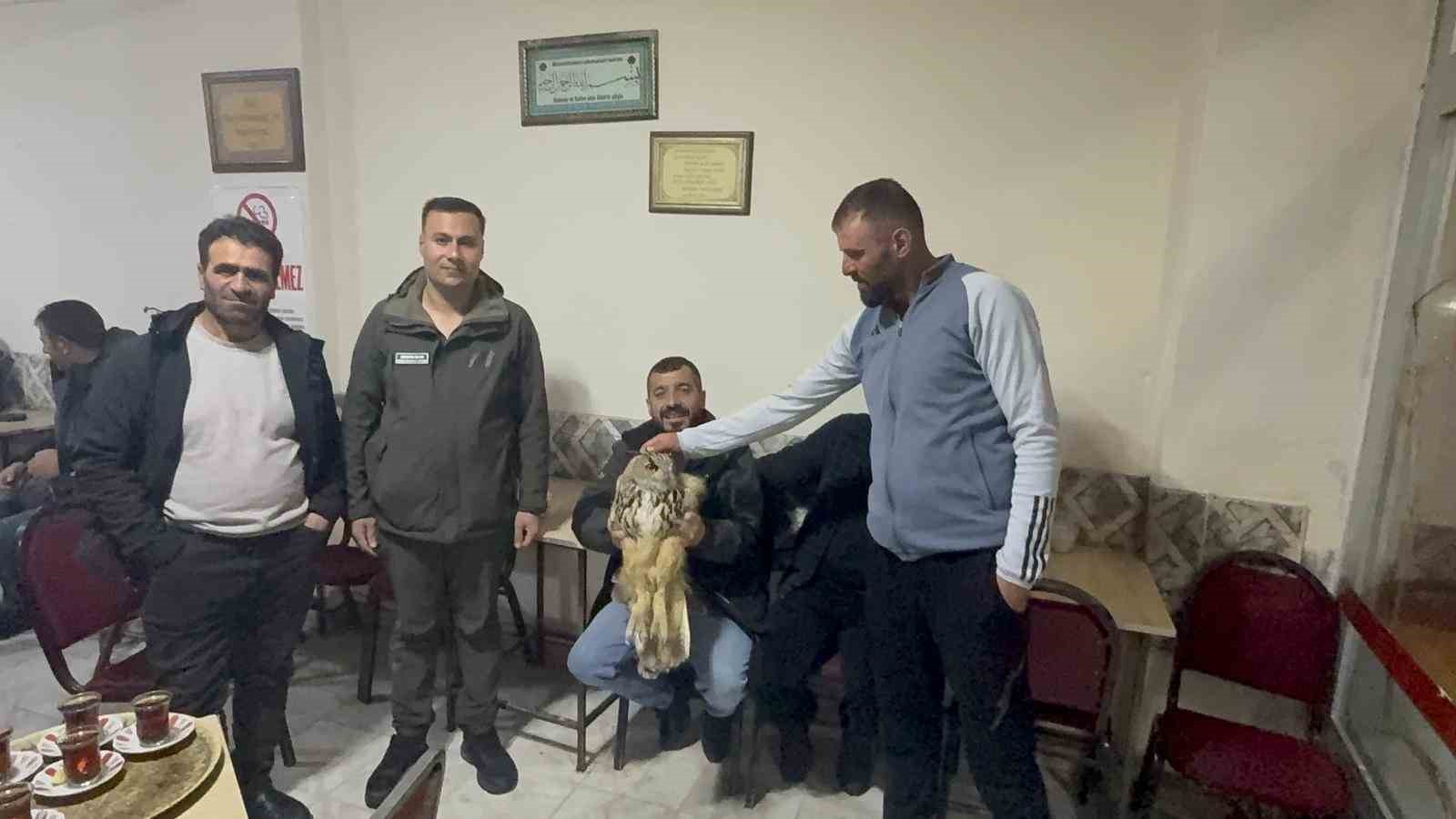 Kars’ta yaralı puhuya şefkat eli
