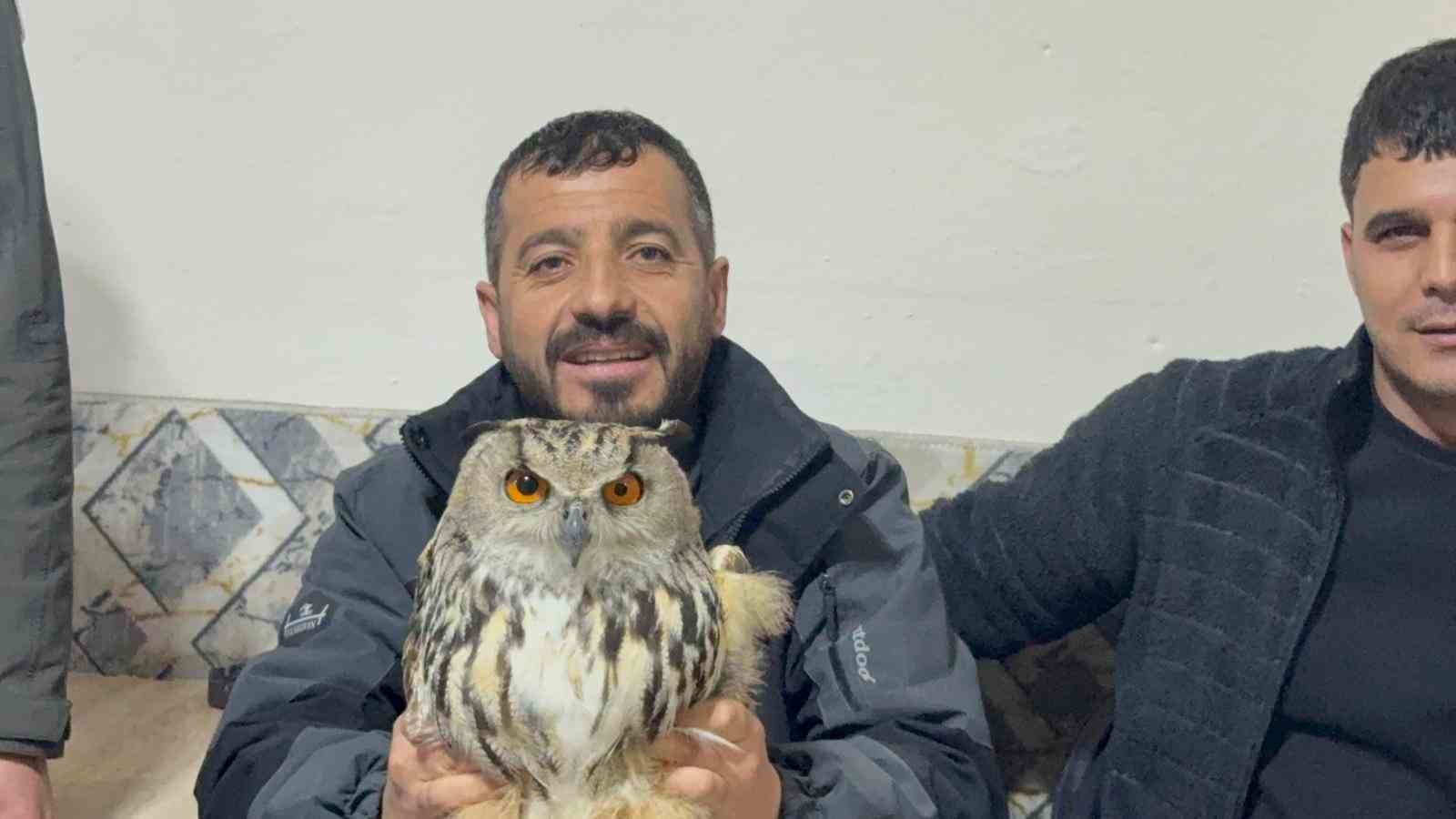 Kars’ta yaralı puhuya şefkat eli
