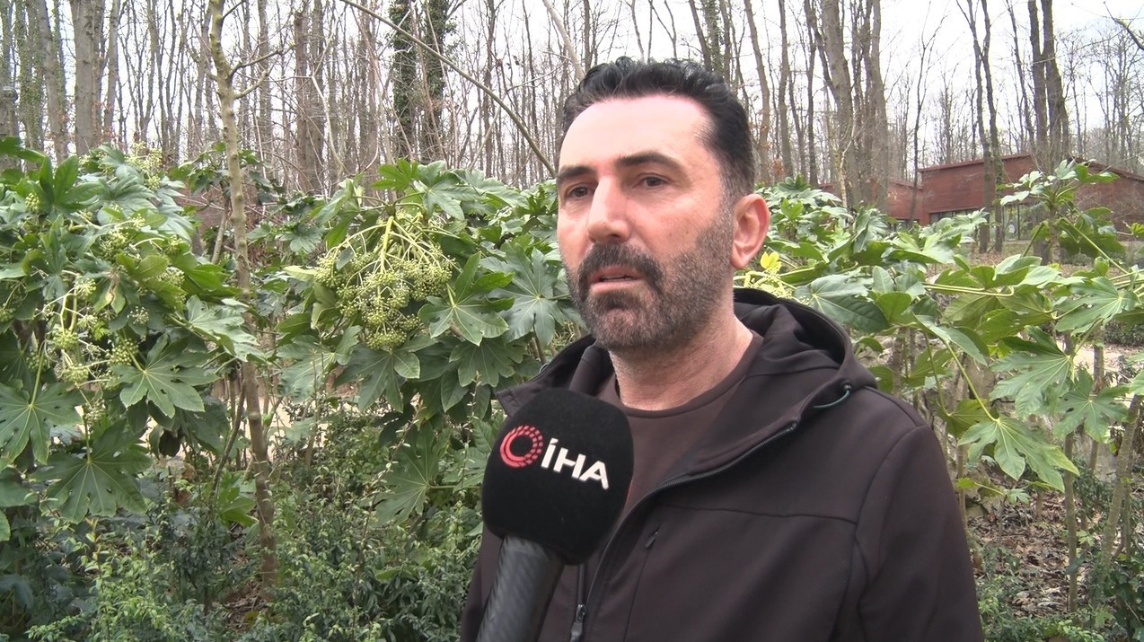 Kartepe’deki kavganın en büyük mağduru çocuklar oldu: "Babama 5 kişi saldırdılar, kafasını ATV’ye vurdular"
