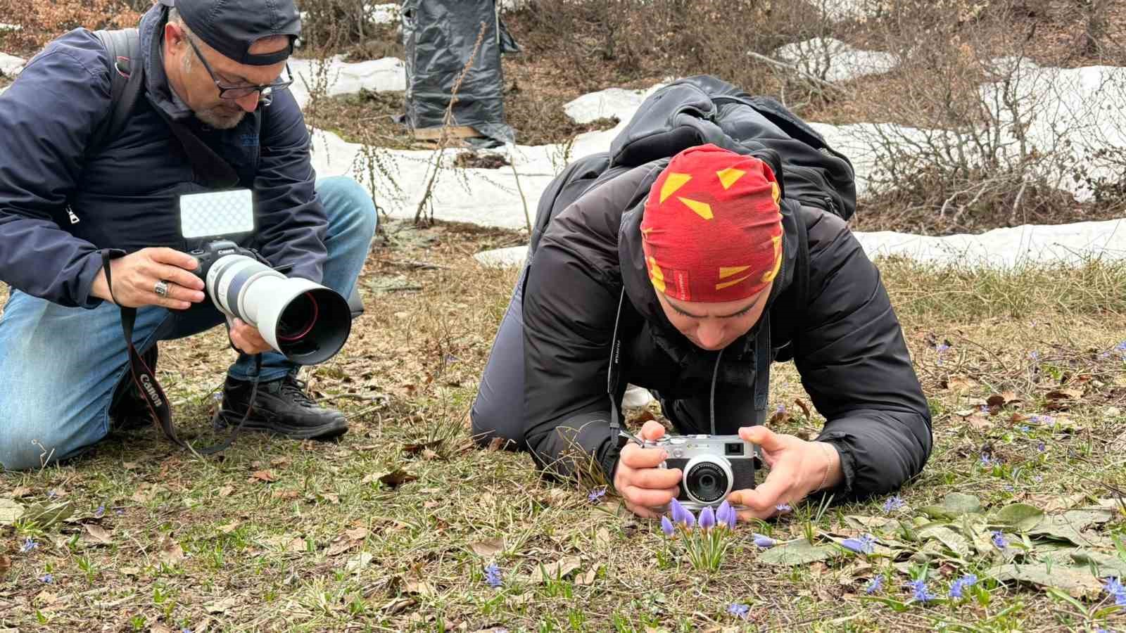 Kartepe’nin nadide türü objektiflere yansıdı
