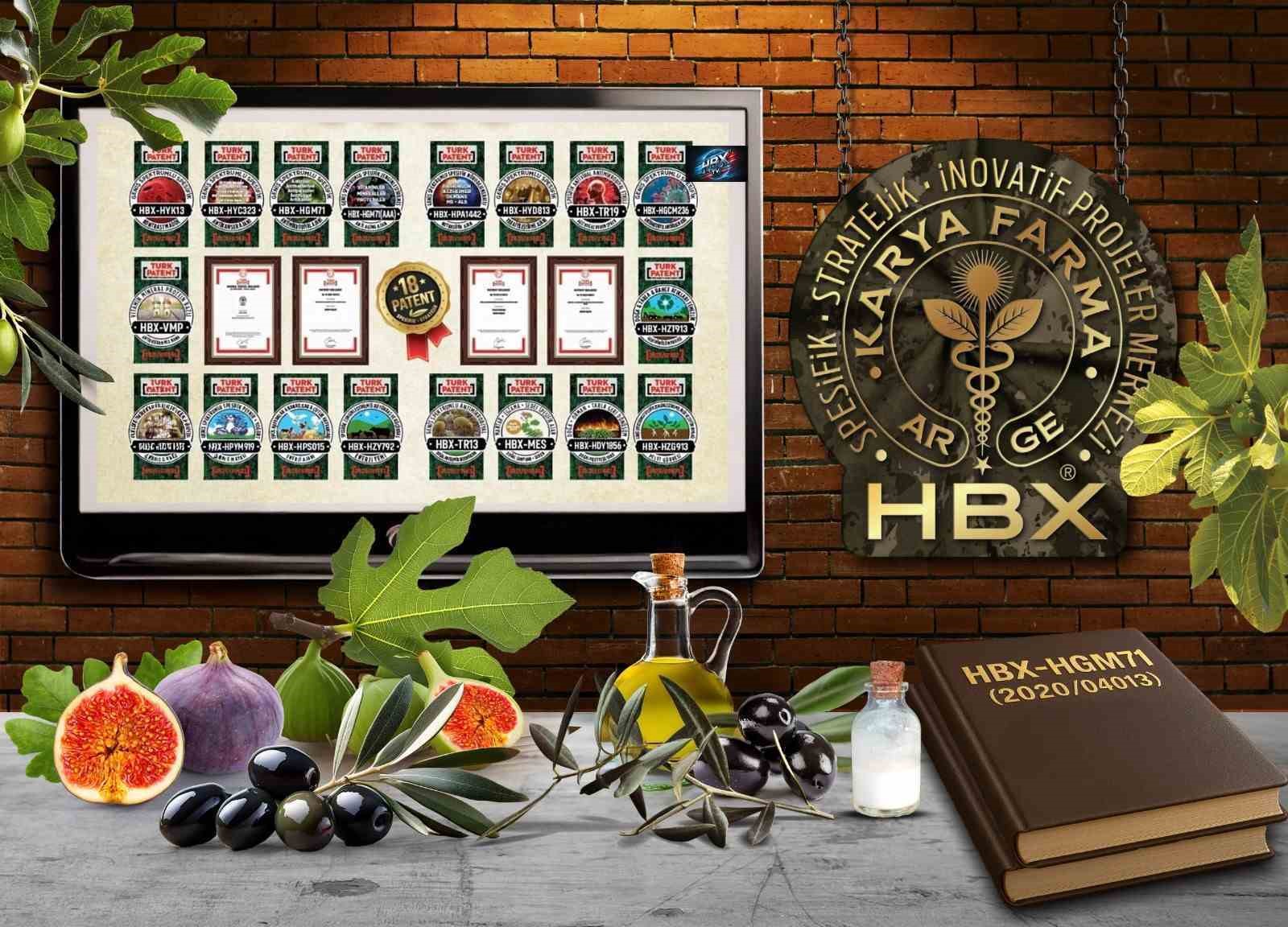 Karya Farma HBX Ar-Ge; ’İncir ve Zeytin Bilimsel Araştırmalar Akademisi’ kuracak
Karya Farma HBX Ar-Ge; ’İncir ve Zeytin Bilimsel Araştırmalar Akademisi’ kuracak