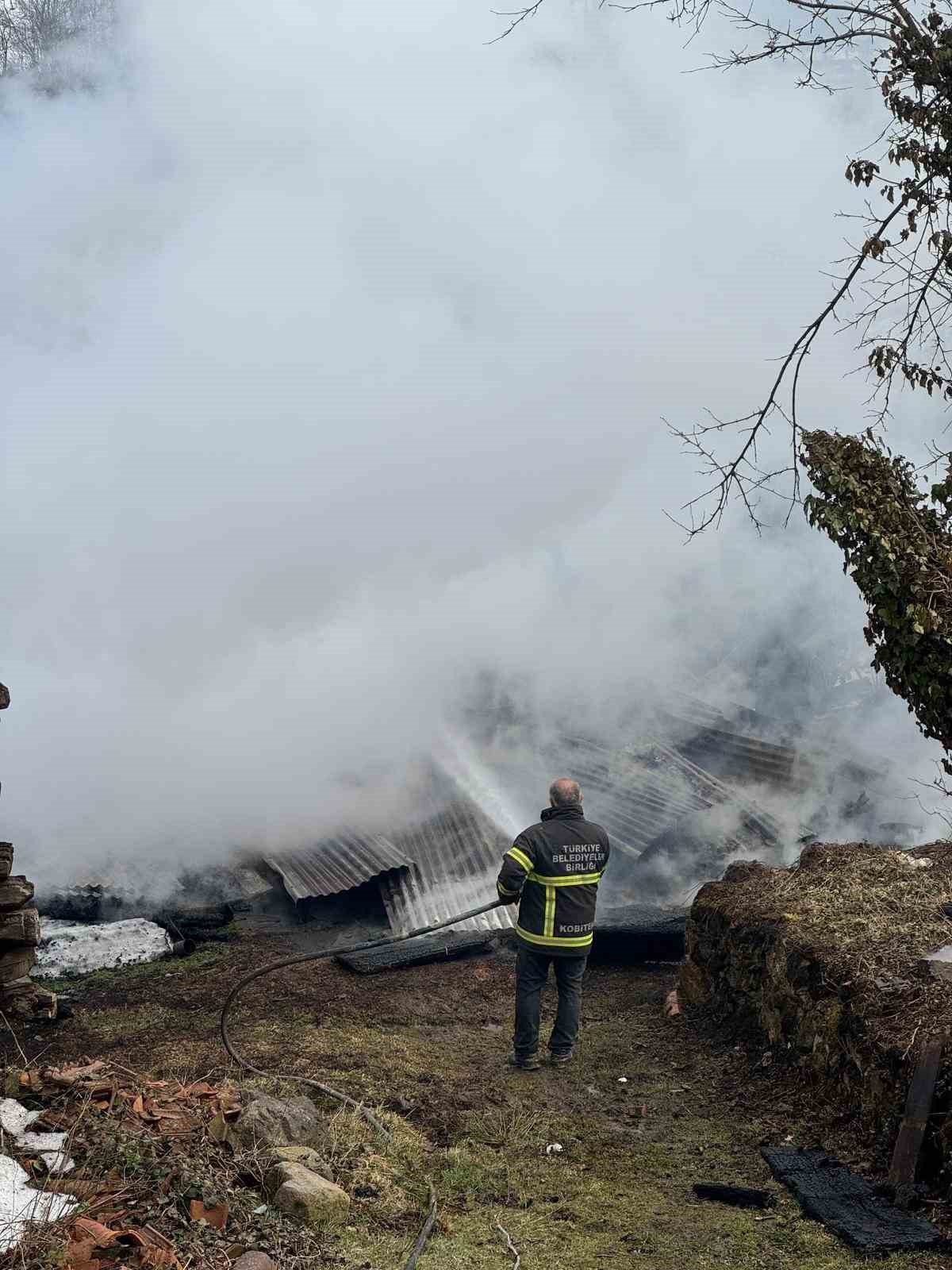 Kastamonu’da 2 ev ve bir ambar alev alev yandı
