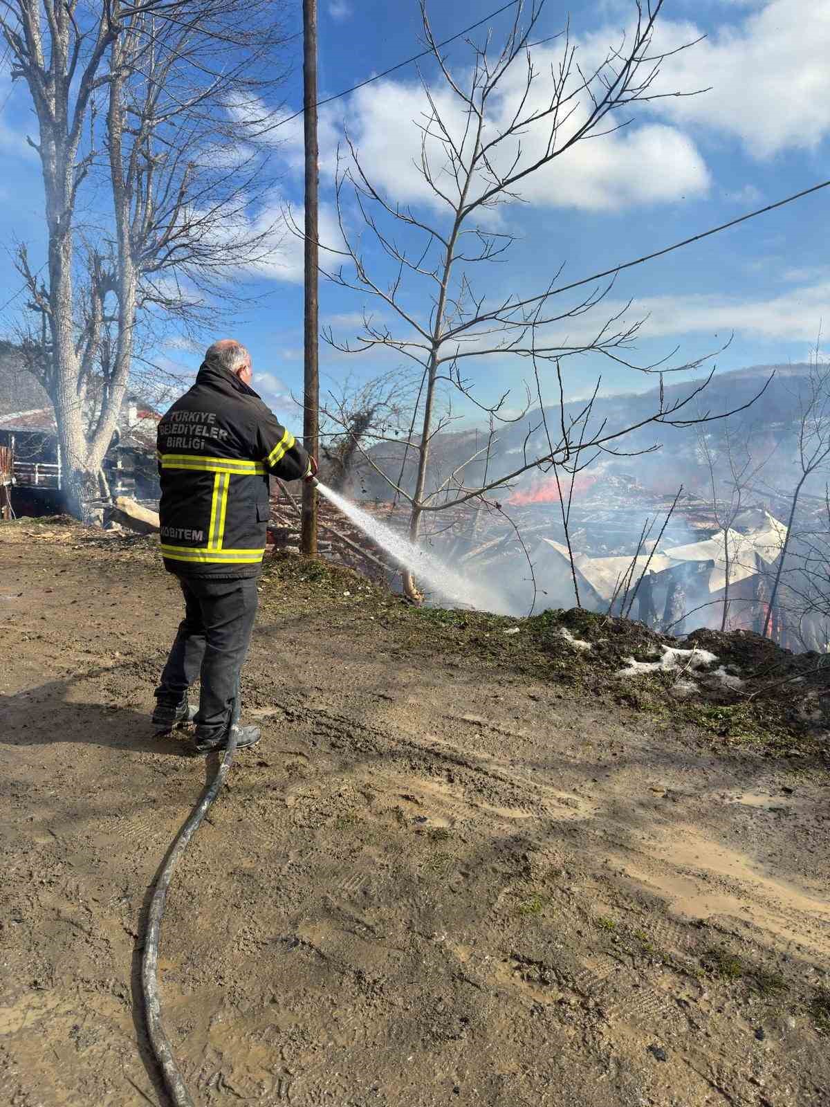 Kastamonu’da 2 ev ve bir ambar alev alev yandı
