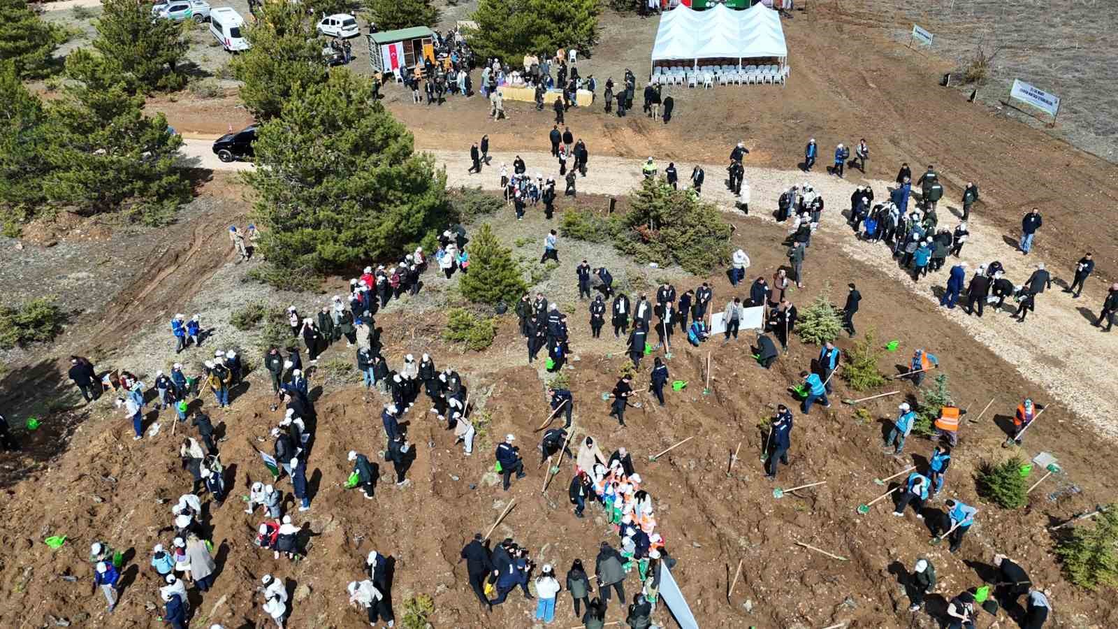 Kastamonu’da 210 bin fidan toprakla buluşturulacak
