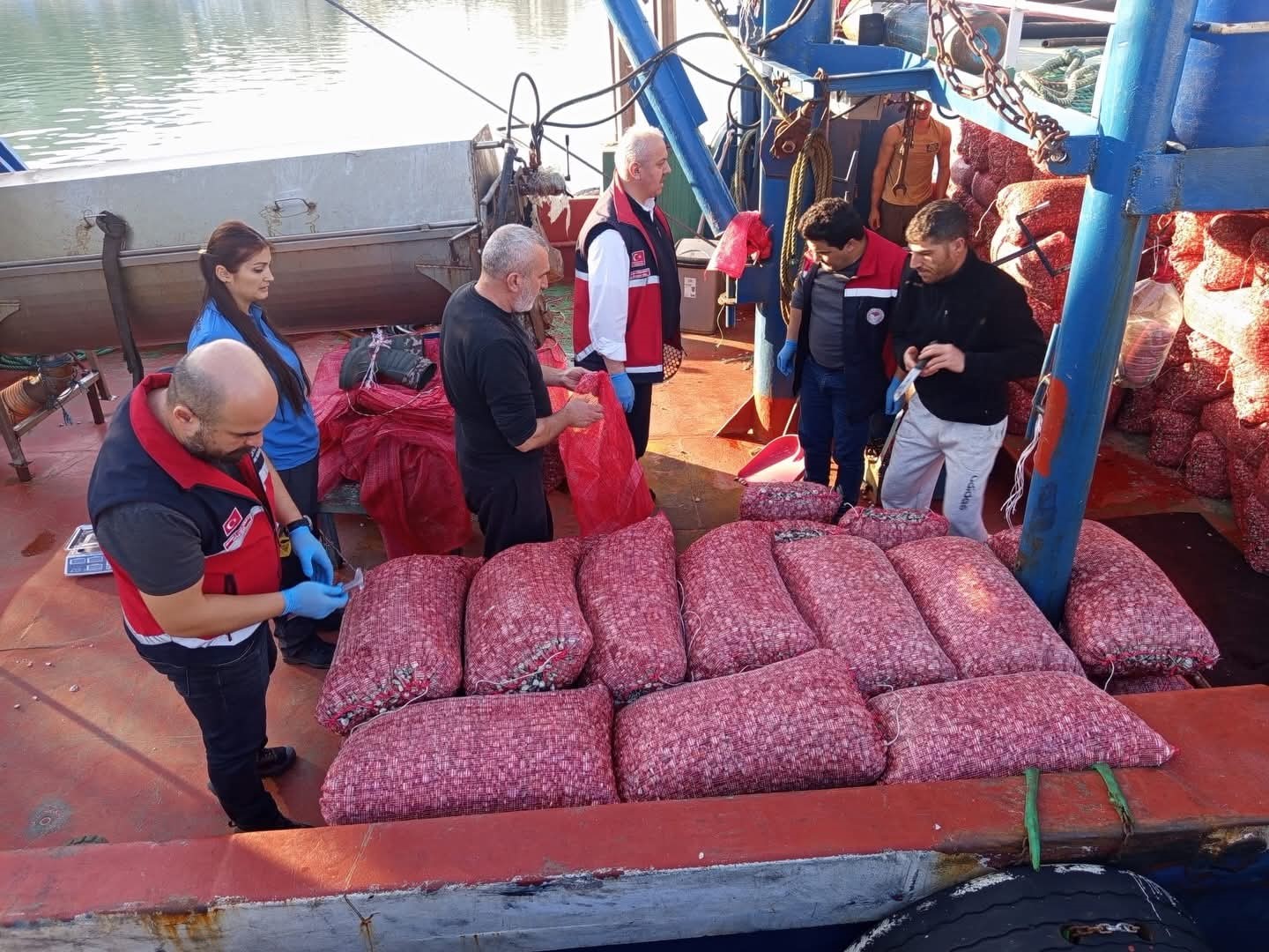 Kastamonu’da beyaz kum midyesi avcılığına yönelik denetimler sürüyor
