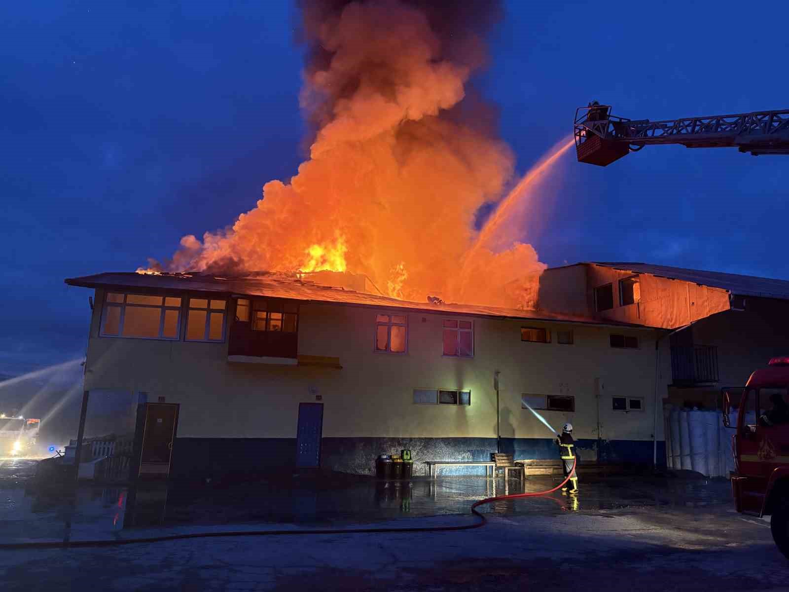 Kastamonu’da fabrika yangını
