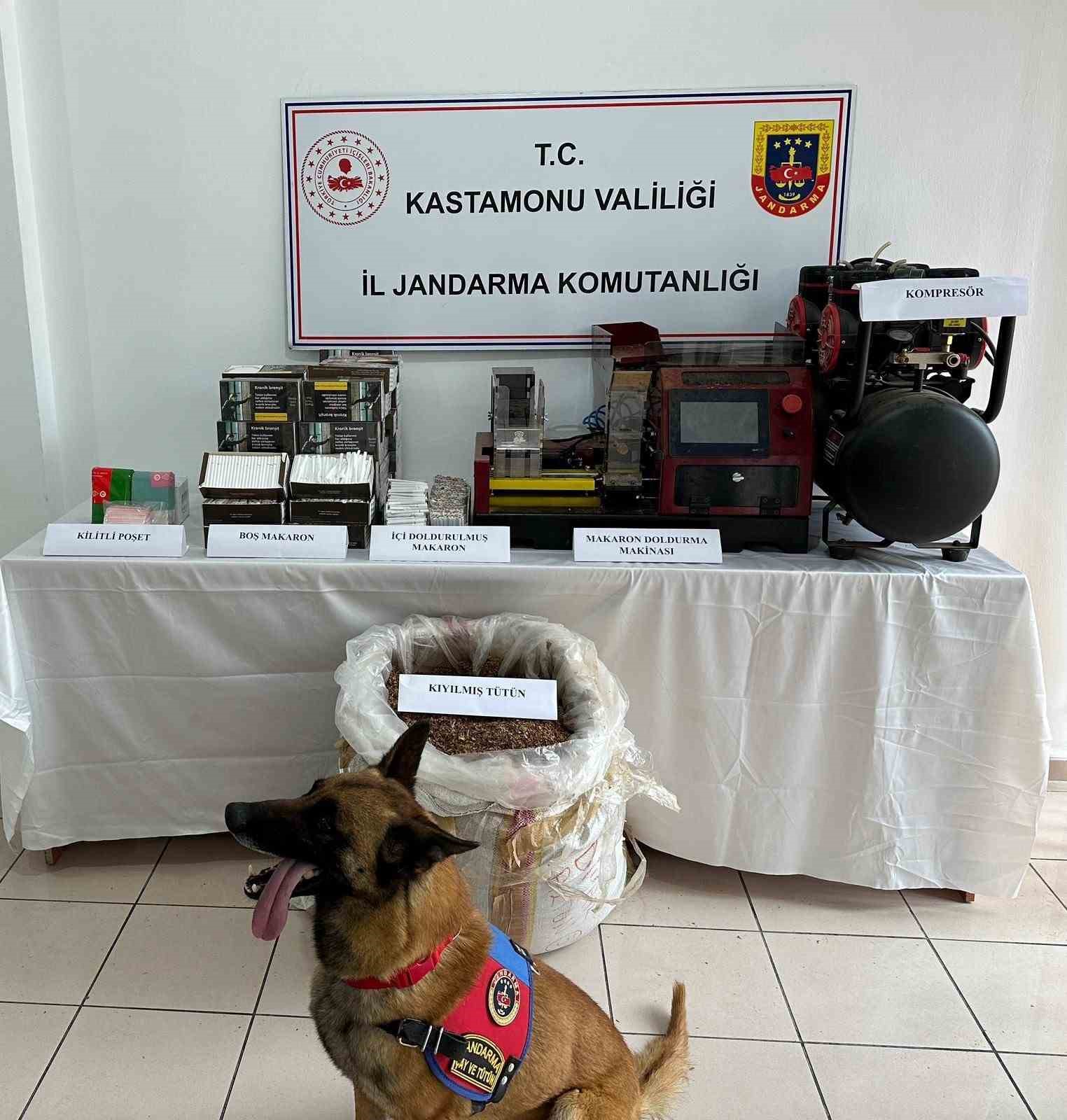 Kastamonu’da kaçakçılık operasyonu: 1 gözaltı
