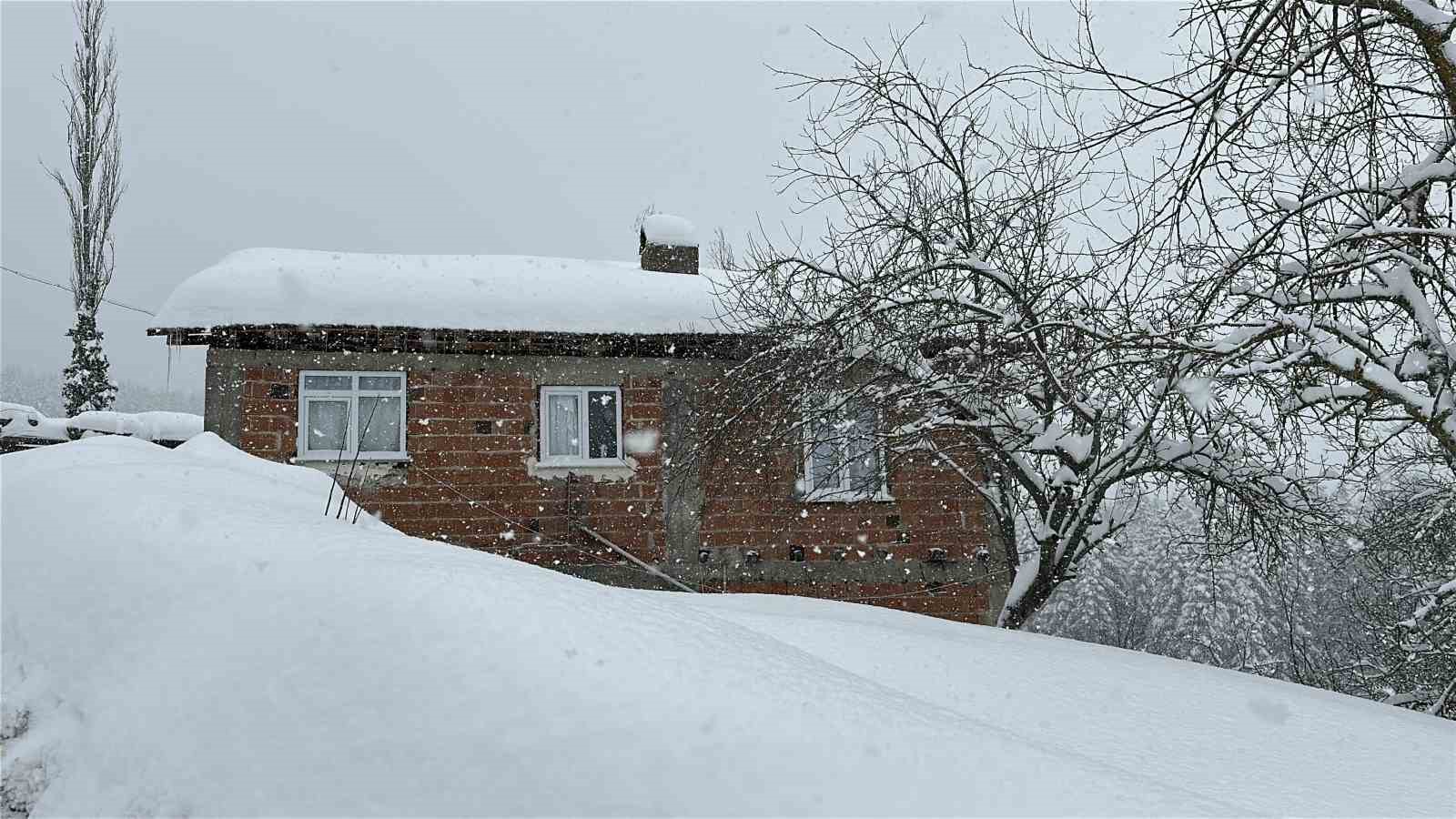 Kastamonu’da kar 167 köy yolunu ulaşıma kapattı
