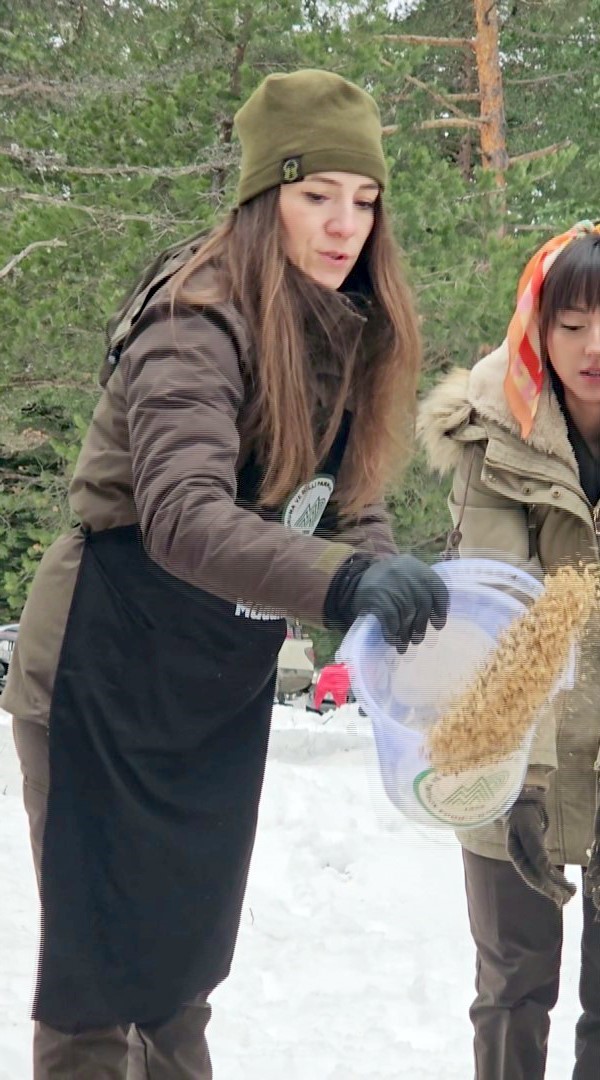 Kastamonu’da karla kaplanan ormanlara yaban hayvanları için yiyecek bırakıldı
