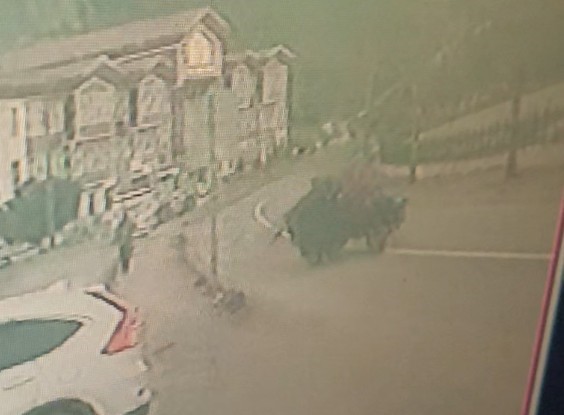 Kastamonu’da lastiği fırlayan tarım aracı takla attı: 1 yaralı
