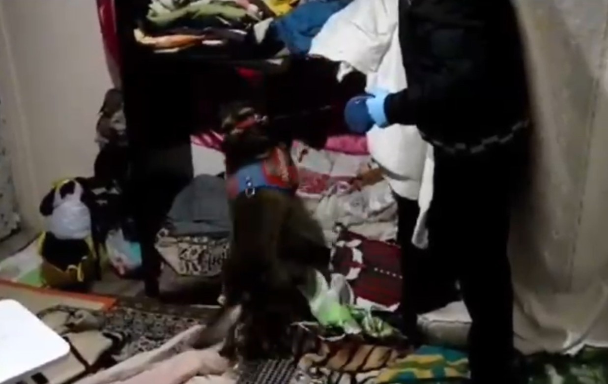 Kastamonu’da uyuşturucu operasyonlarında 9 gözaltı
