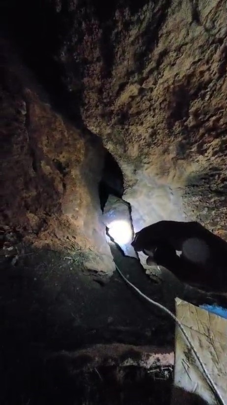 Kaya içerisindeki yarığa düşen 6 yavru köpek için film gibi kurtarma operasyonu
