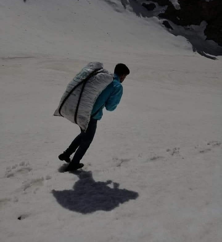 Kayalıklarda yetişiyor, sofralara lezzet katıyor: Çiriş otu
