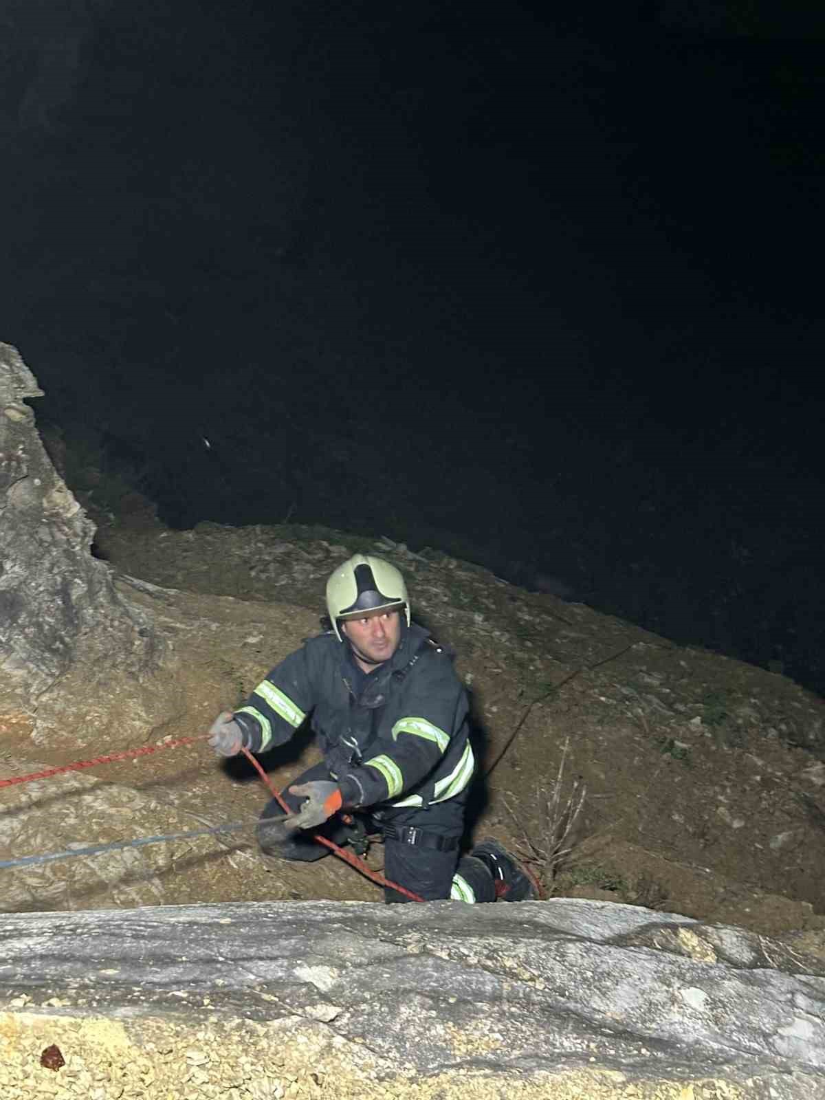 Kayalıklardaki sürüye cansiparane kurtarma
