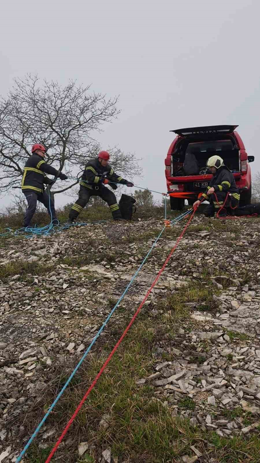 Kayalıklardaki sürüye cansiparane kurtarma
