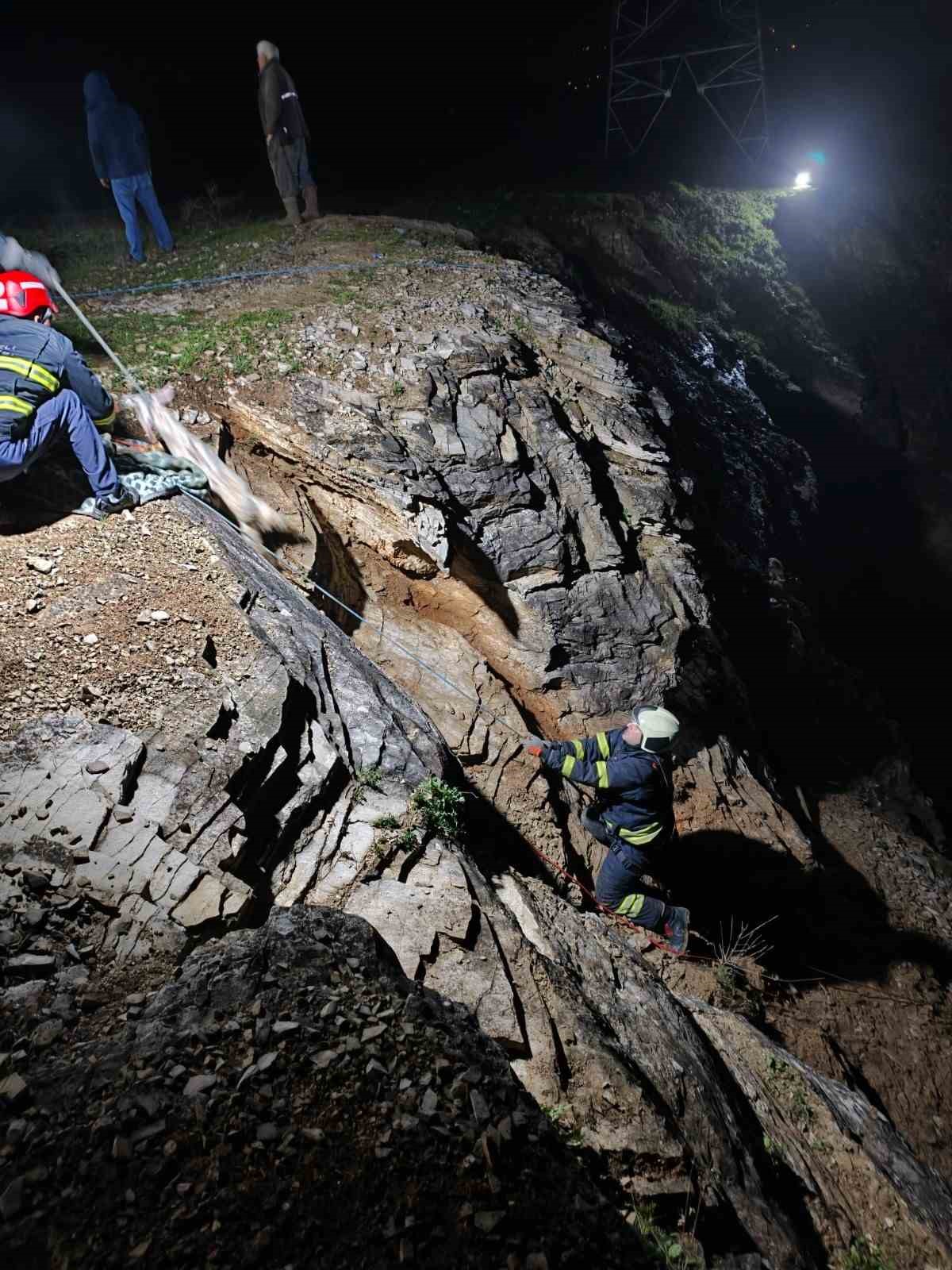 Kayalıklardaki sürüye cansiparane kurtarma
