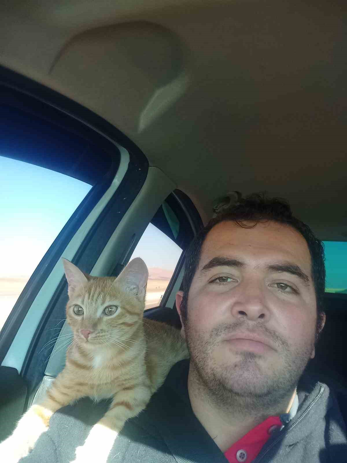 Kaybolan kedisi için binlerce kilometre yol yaptı
Kaybolan kedisi için binlerce kilometre yol yaptı