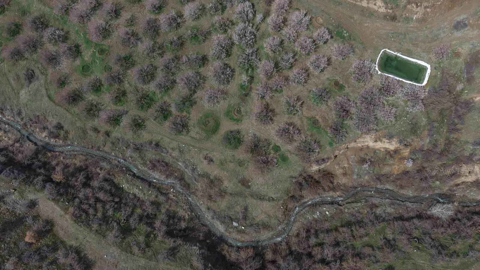 Kayısı bahçeleri beyaza büründü, ortaya eşsiz manzaralar çıktı
