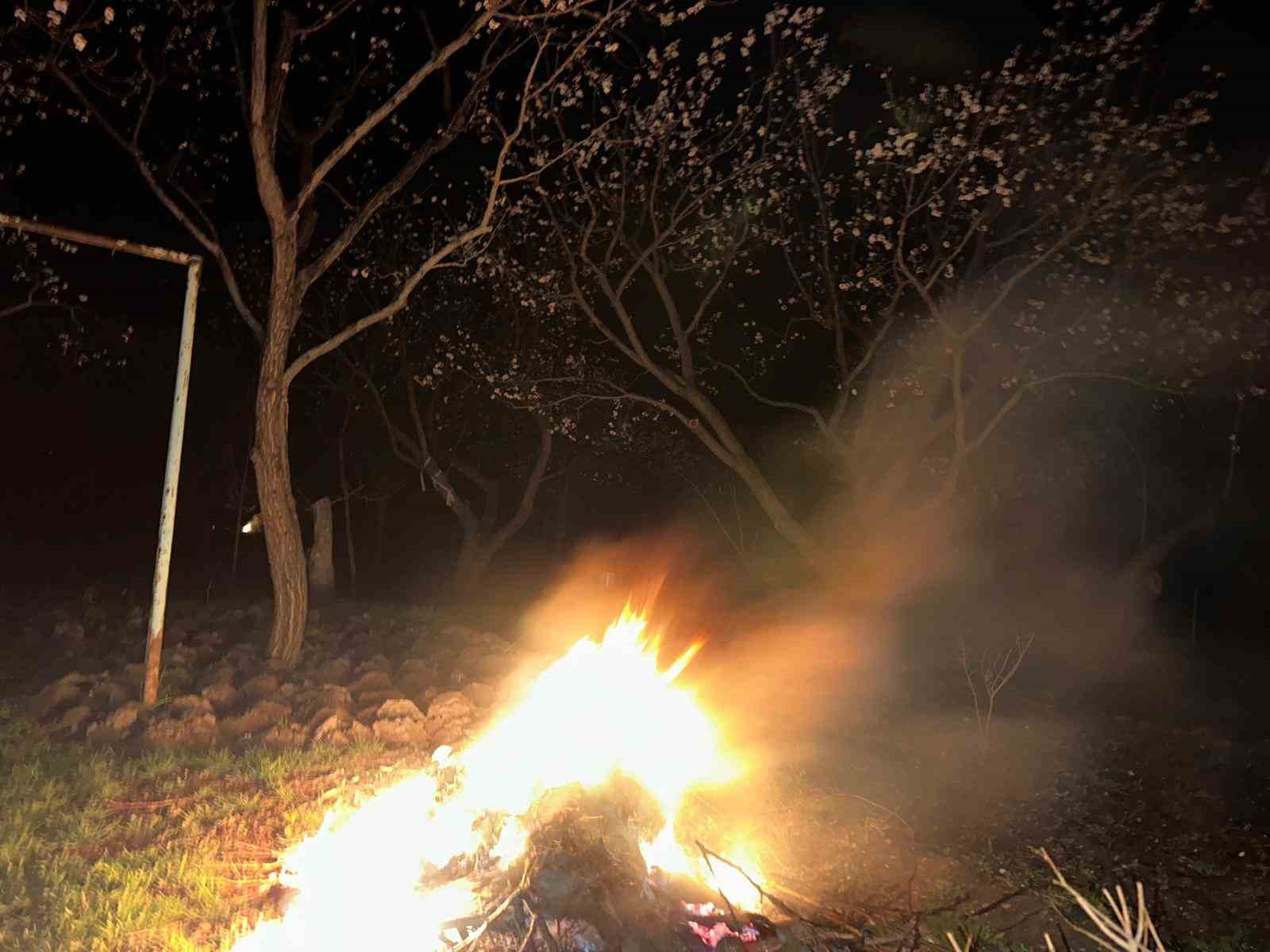 Kayısı bahçelerini ateş ve dumanla donmaya karşı koruyorlar
