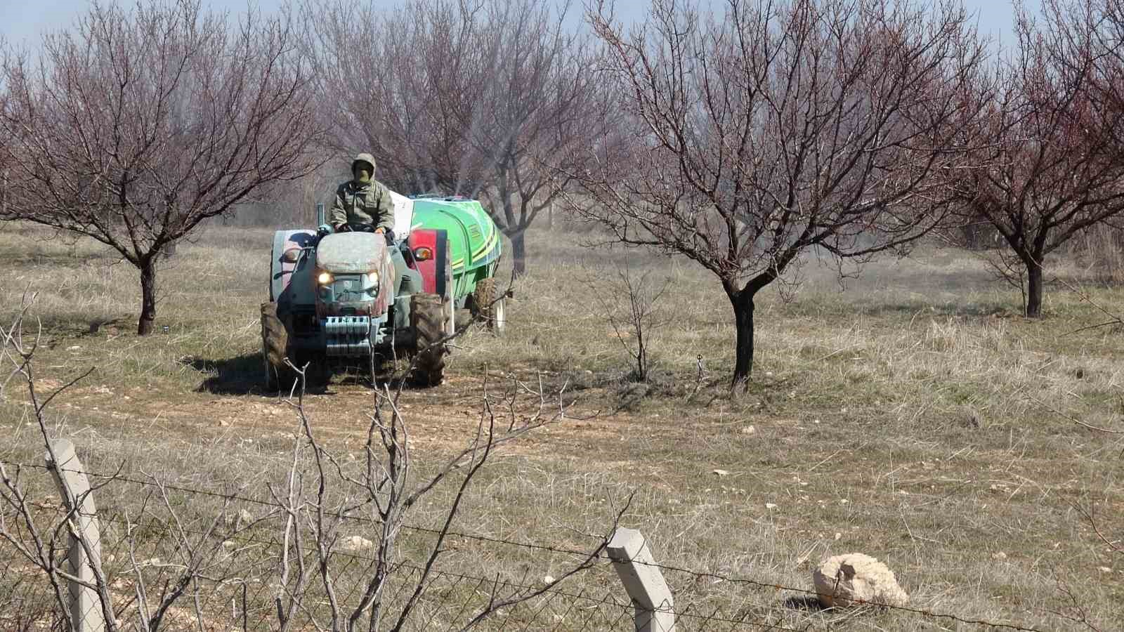 Kayısıda kritik bakım dönemi başladı
