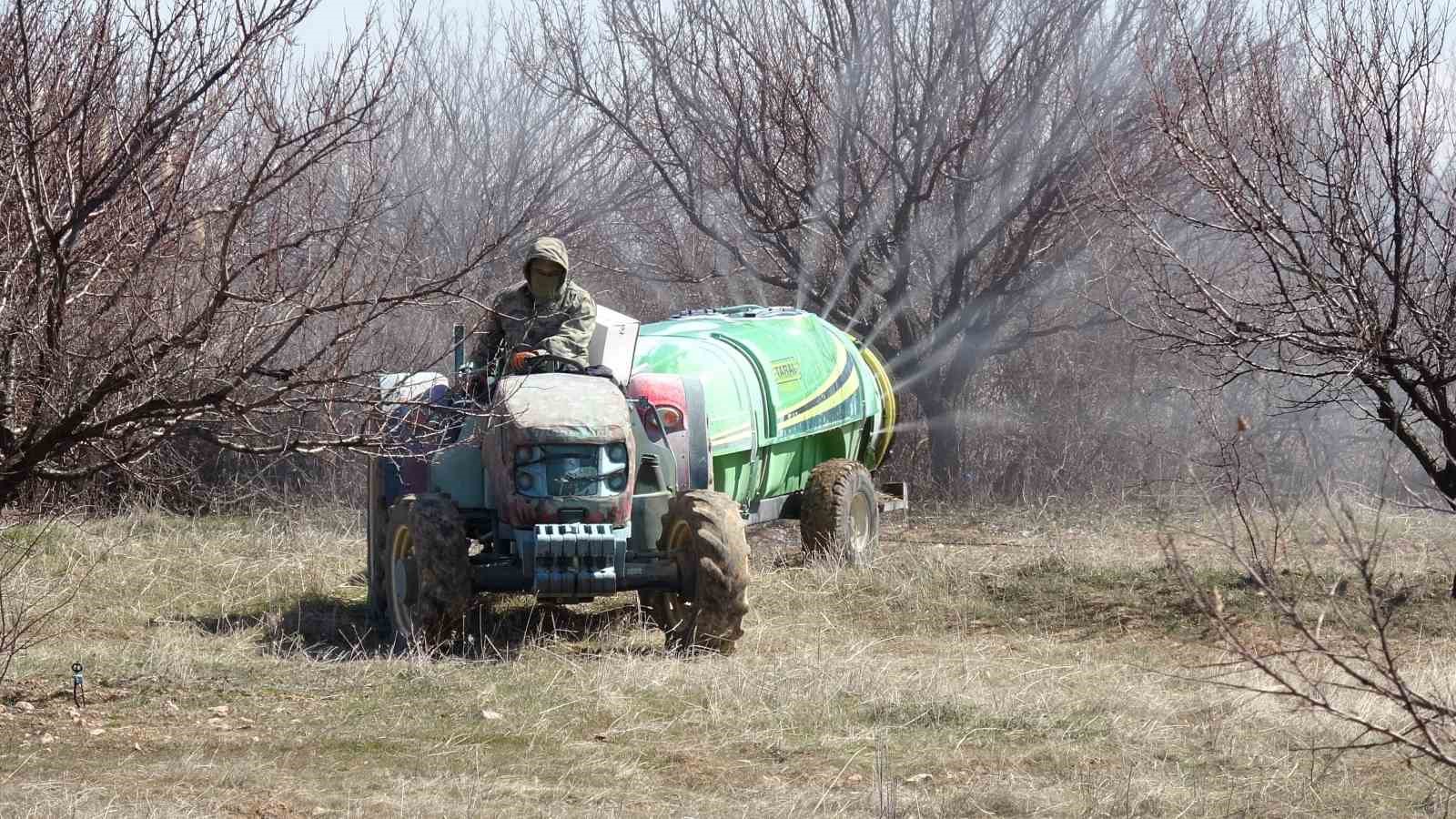 Kayısıda kritik bakım dönemi başladı
