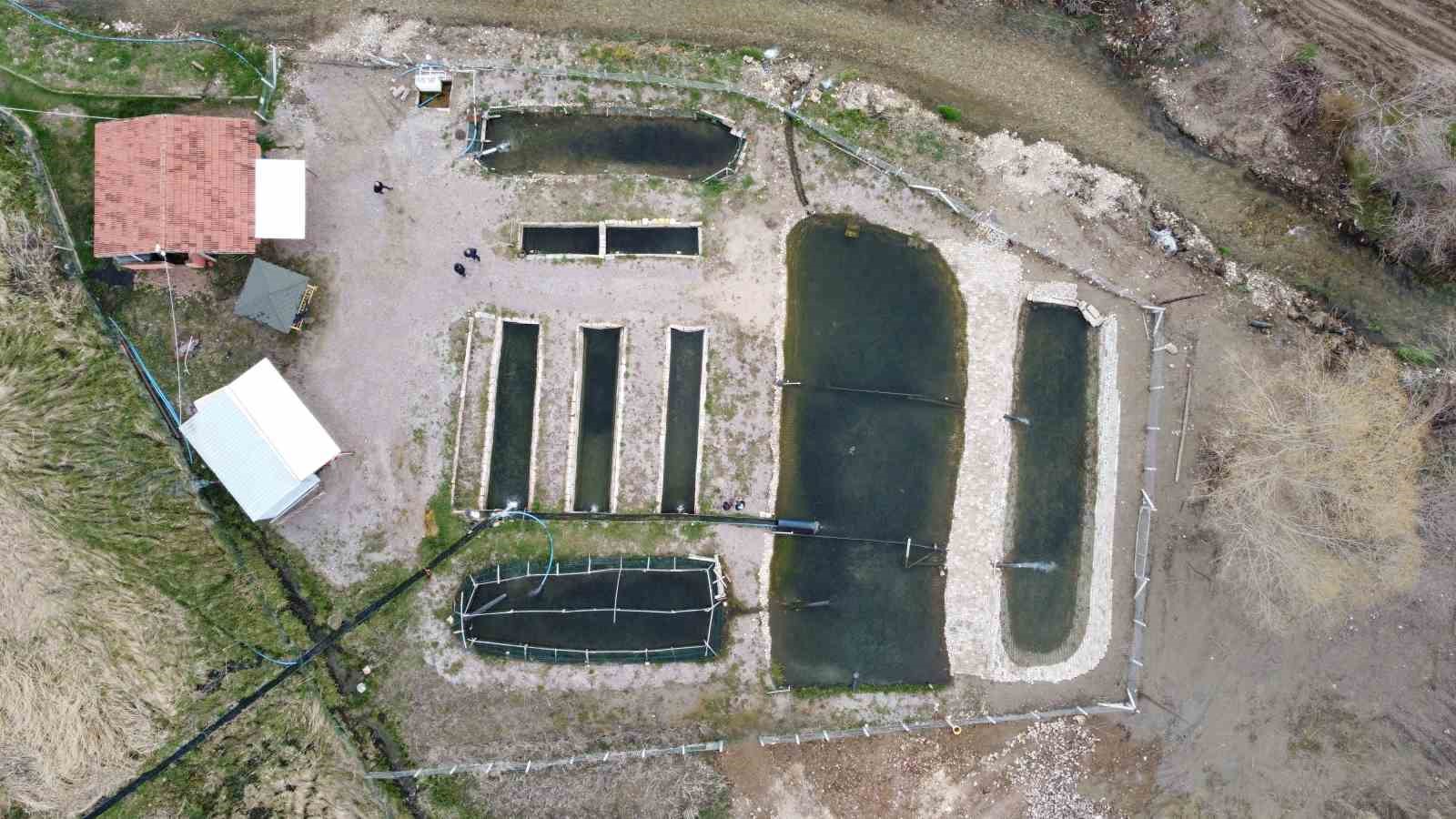 Kaynak suyunda yetişiyor, vatandaş taze taze alıp gidiyor
