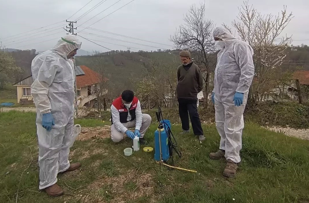 Kaynaşlı ve Yığılca’da Kahverengi Kokarcayla mücadele sürüyor
